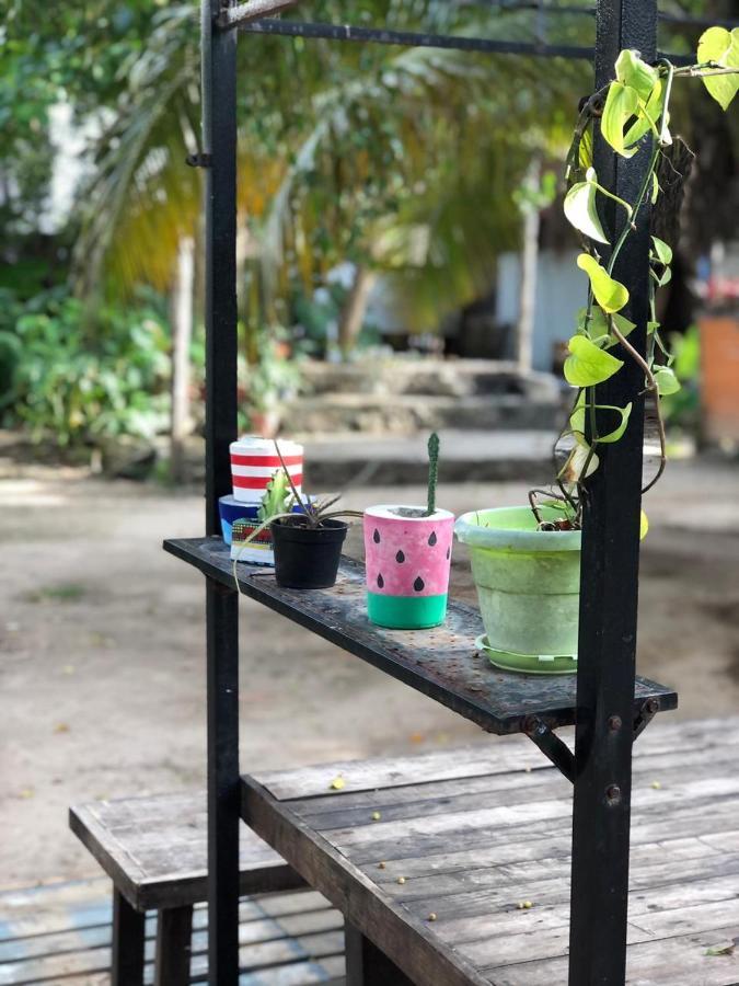 Crucero Tulum Acomodação com café da manhã Exterior foto